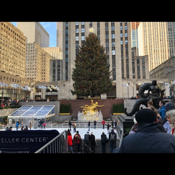 Meet your Posher, Joey - Picture 1 of 1